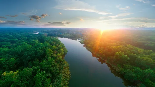 dron002.jpg