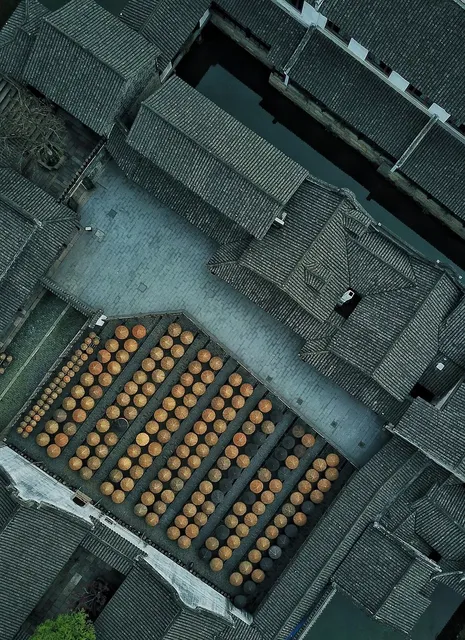 dron006.jpg